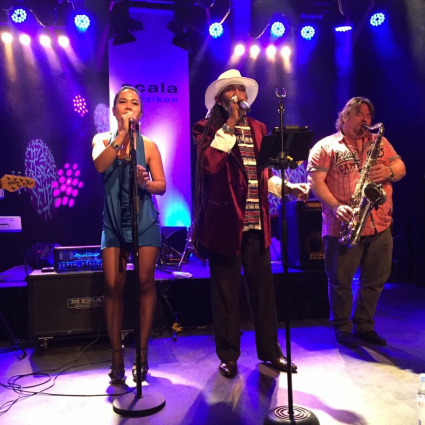 FREAKOUT 6 COVER BAND or D J Roy with Drums — photo 7