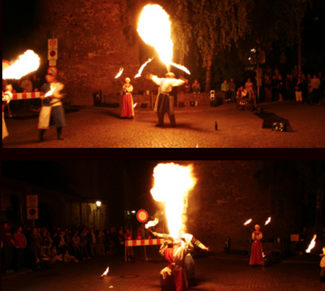 Castra Vita e.V. — photo 6