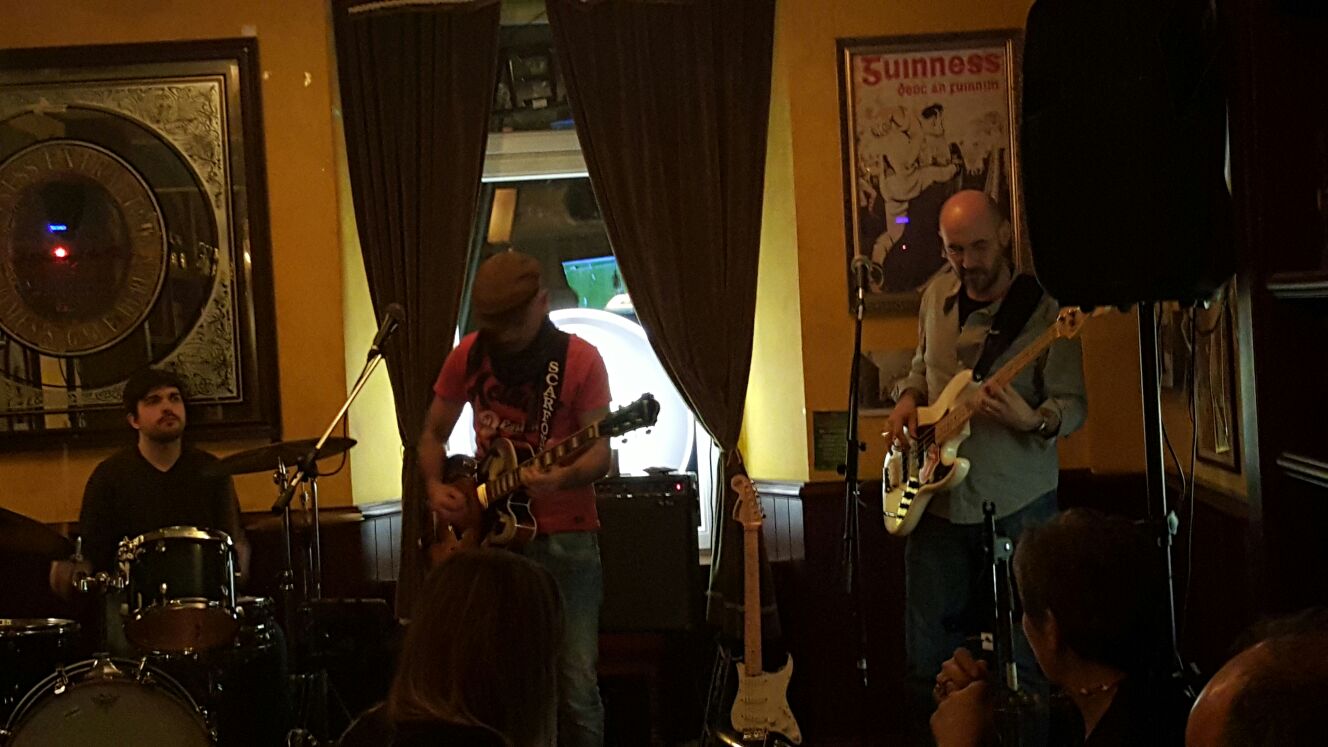 HOT STRINGS BLUES BAND — photo 5