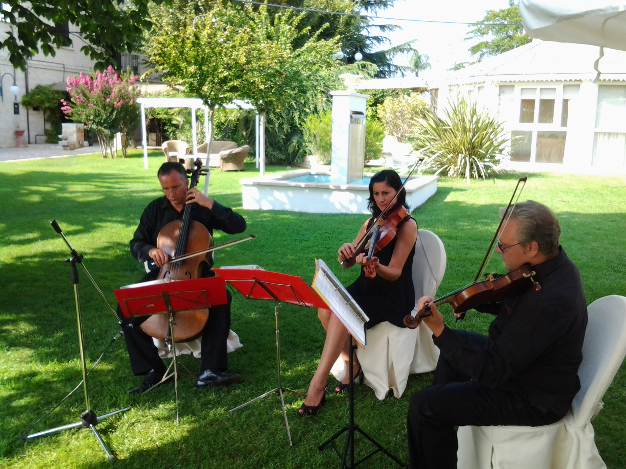 Carlo Pelle &amp;amp; Company — photo 6