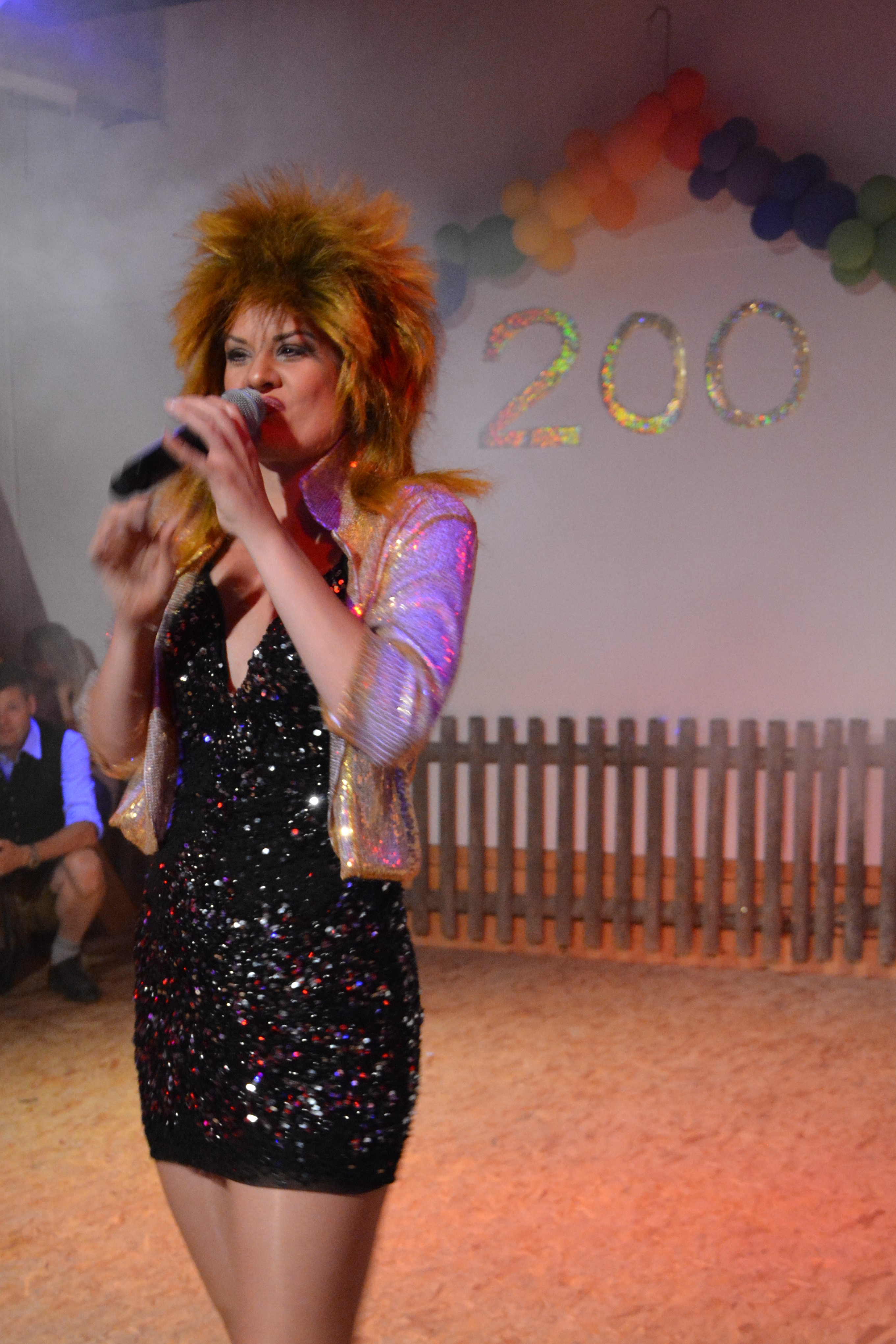 Melina Schmoll - Marilyn &amp;amp; Friends, Tina Turner , Lina Diva / Tribute singer — photo 7