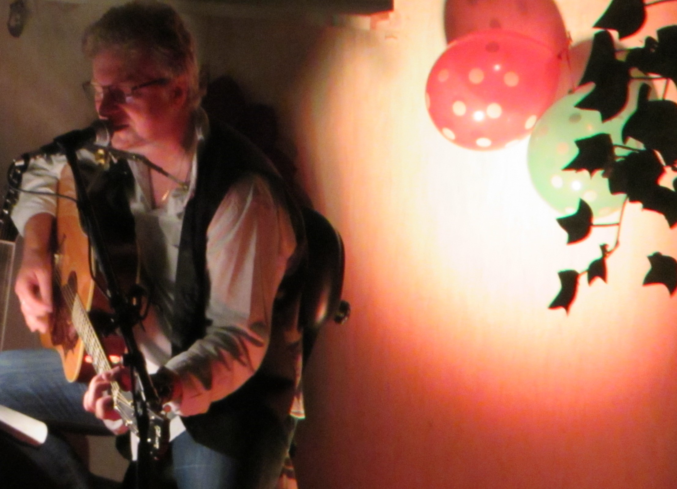 DS GUITARS UNPLUGGED — photo 10