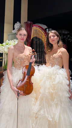 Anastasia Violin — photo 9