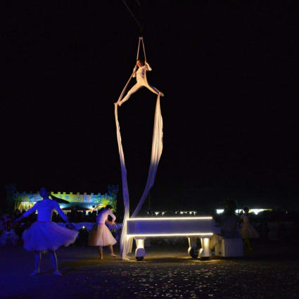 Artisti di strada spettacoli Matrimonio — photo 3