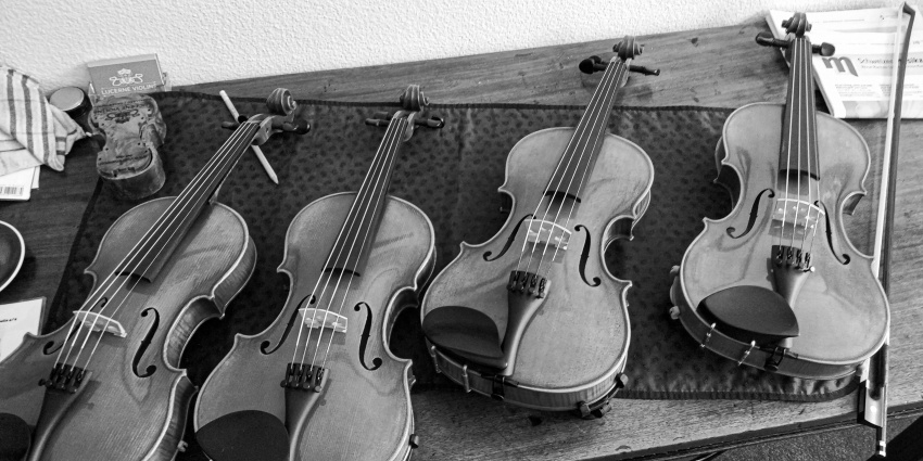 Tomas Hernandez &amp;amp; Ensemble Zoe - Solo, Duo, Trio, Quartet — photo 9