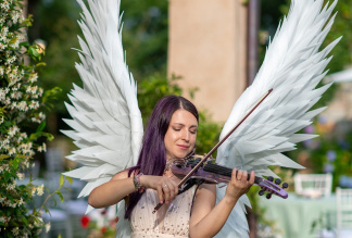 Sofia violinista