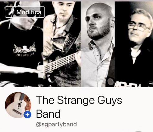 STRANGE GUYS Party Band — photo 12