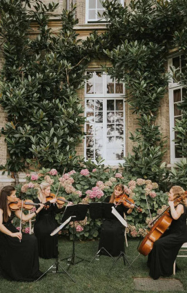 Bridgerton String Quartet - Quartetto d`Archi Venezia, Verona, Firenze Arezzo — photo 9