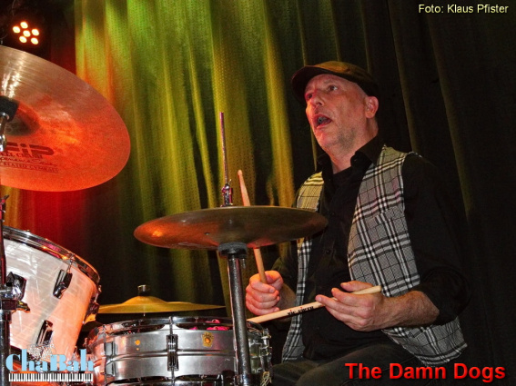The Damn Dogs — photo 10