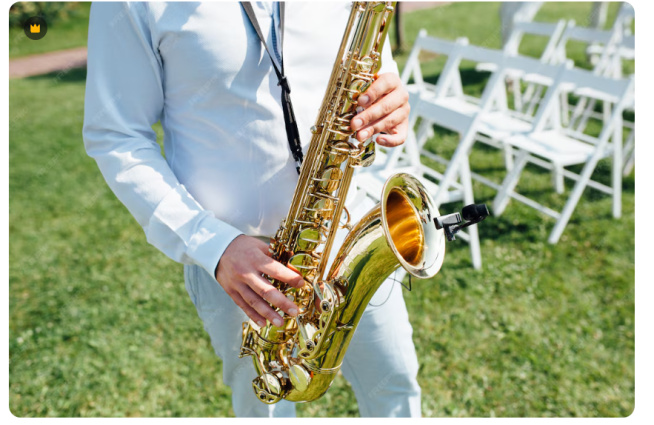 VIOLINISTA PIANO SAX VOCE ARPA CHITARRA — photo 2